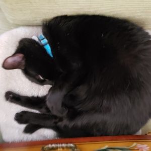 Meet your Posher, James